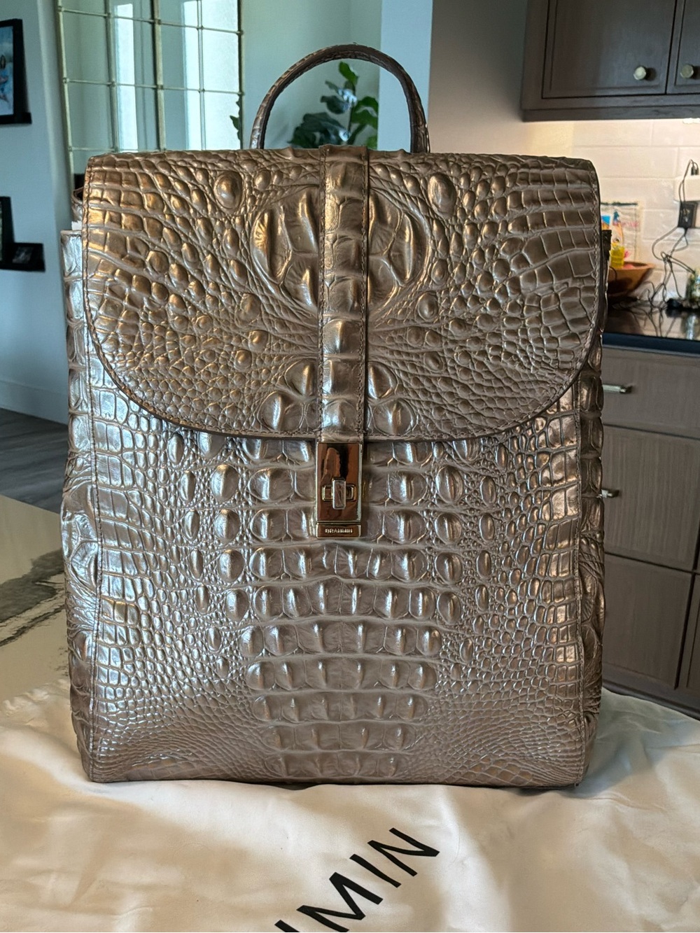 Brahmin Sadie Backpack with Wallet and Dustbag
